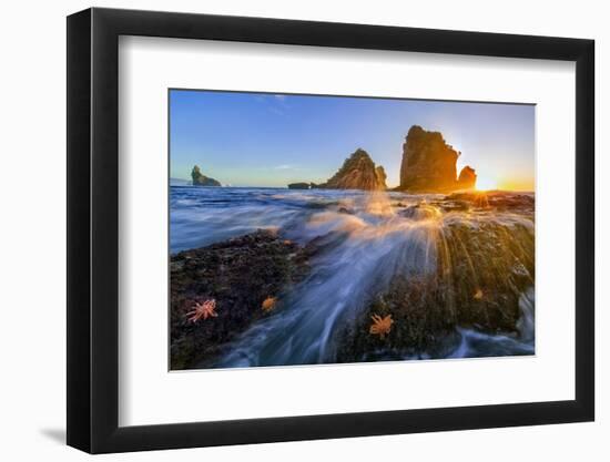 Starfish Rocks-Hua Zhu-Framed Photographic Print