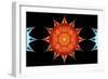 Starfish-side-David Manlove-Framed Giclee Print