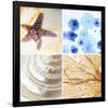 Starfish - Sunset-null-Framed Premium Giclee Print