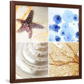 Starfish - Sunset-null-Framed Premium Giclee Print