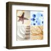 Starfish - Sunset-null-Framed Art Print