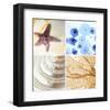 Starfish - Sunset-null-Framed Art Print