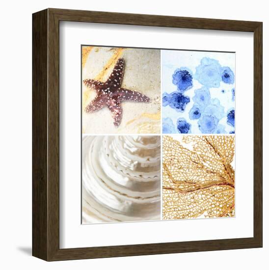 Starfish - Sunset-null-Framed Art Print