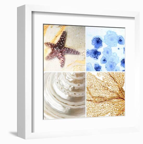 Starfish - Sunset-null-Framed Art Print