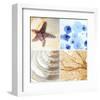 Starfish - Sunset-null-Framed Art Print