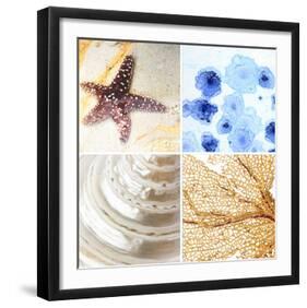 Starfish - Sunset-null-Framed Art Print