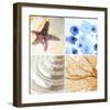 Starfish - Sunset-null-Framed Art Print