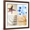 Starfish - Sunset-null-Framed Art Print