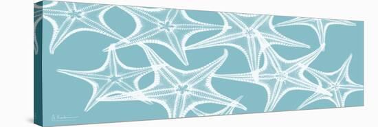 Starfish Teal 1-Albert Koetsier-Stretched Canvas