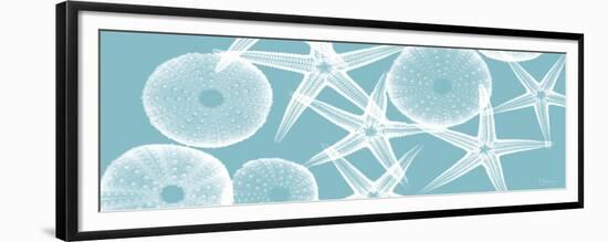 Starfish Teal 2-Albert Koetsier-Framed Premium Giclee Print