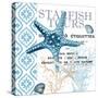 Starfish Tours-Kimberly Allen-Stretched Canvas