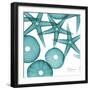 Starfish Trip 3-Albert Koetsier-Framed Premium Giclee Print