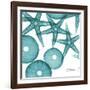 Starfish Trip 3-Albert Koetsier-Framed Art Print