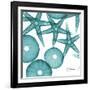 Starfish Trip 3-Albert Koetsier-Framed Art Print