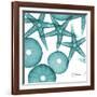 Starfish Trip 3-Albert Koetsier-Framed Art Print