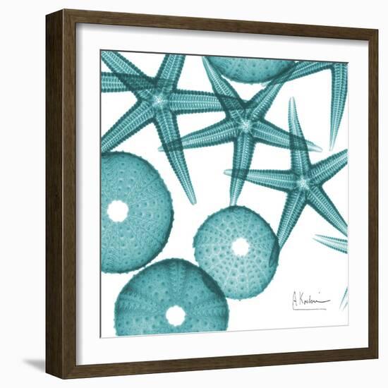 Starfish Trip 3-Albert Koetsier-Framed Premium Giclee Print