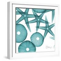 Starfish Trip 3-Albert Koetsier-Framed Premium Giclee Print