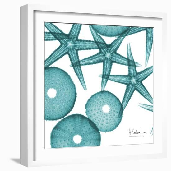 Starfish Trip 3-Albert Koetsier-Framed Premium Giclee Print