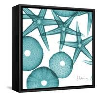 Starfish Trip 3-Albert Koetsier-Framed Stretched Canvas