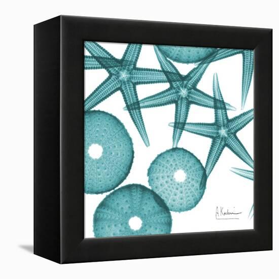 Starfish Trip 3-Albert Koetsier-Framed Stretched Canvas