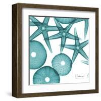 Starfish Trip 3-Albert Koetsier-Framed Art Print