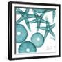 Starfish Trip 3-Albert Koetsier-Framed Art Print