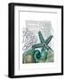 Starfish under the Sea-Fab Funky-Framed Art Print