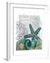 Starfish under the Sea-Fab Funky-Framed Art Print