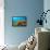 Starfish Underwater on Reef-Rich Carey-Framed Stretched Canvas displayed on a wall