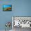 Starfish Underwater on Reef-Rich Carey-Framed Stretched Canvas displayed on a wall