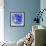 Starfish Universe-Tom Kelly-Framed Giclee Print displayed on a wall