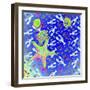 Starfish Universe-Tom Kelly-Framed Giclee Print