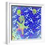 Starfish Universe-Tom Kelly-Framed Giclee Print