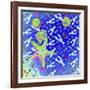 Starfish Universe-Tom Kelly-Framed Giclee Print