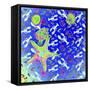 Starfish Universe-Tom Kelly-Framed Stretched Canvas