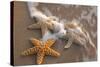 Starfish with Evening Surf Rolling In-Terry Eggers-Stretched Canvas