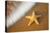Starfish with Evening Surf Rolling In-Terry Eggers-Stretched Canvas