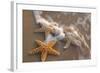 Starfish with Evening Surf Rolling In-Terry Eggers-Framed Photographic Print