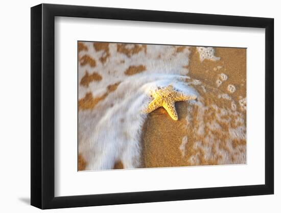 Starfish with Evening Surf Rolling In-Terry Eggers-Framed Photographic Print