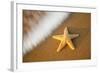 Starfish with Evening Surf Rolling In-Terry Eggers-Framed Photographic Print