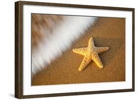 Starfish with Evening Surf Rolling In-Terry Eggers-Framed Photographic Print