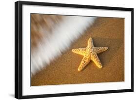 Starfish with Evening Surf Rolling In-Terry Eggers-Framed Photographic Print