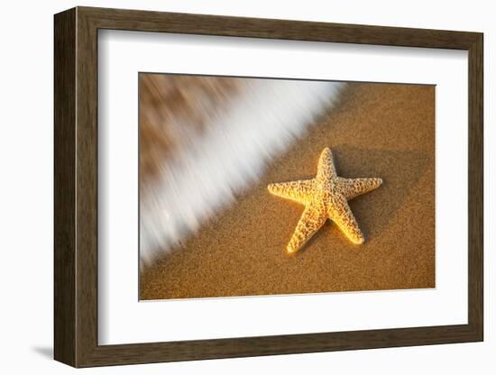 Starfish with Evening Surf Rolling In-Terry Eggers-Framed Photographic Print