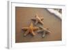 Starfish with Evening Surf Rolling In-Terry Eggers-Framed Photographic Print