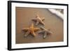 Starfish with Evening Surf Rolling In-Terry Eggers-Framed Photographic Print