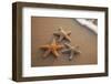 Starfish with Evening Surf Rolling In-Terry Eggers-Framed Photographic Print