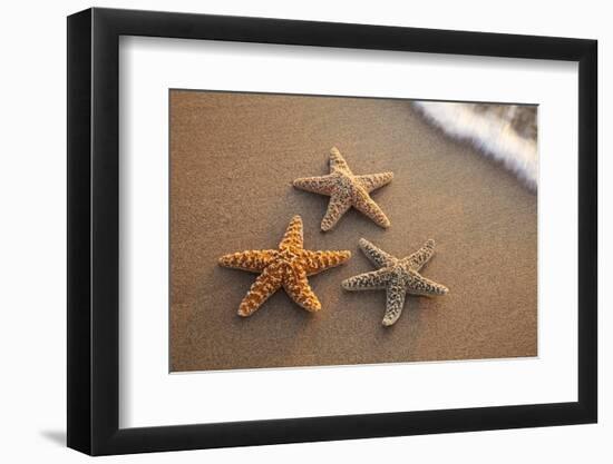 Starfish with Evening Surf Rolling In-Terry Eggers-Framed Photographic Print