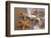 Starfish with Evening Surf Rolling In-Terry Eggers-Framed Photographic Print