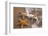 Starfish with Evening Surf Rolling In-Terry Eggers-Framed Photographic Print