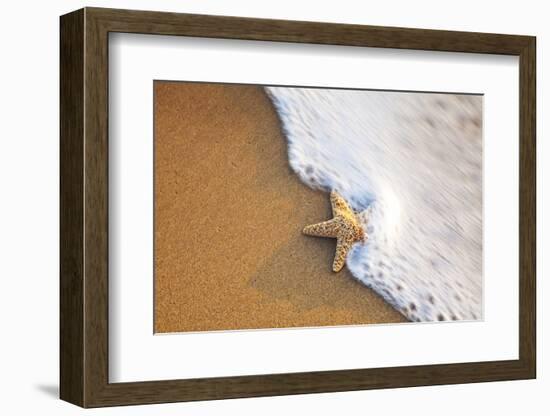 Starfish with Evening Surf Rolling In-Terry Eggers-Framed Photographic Print